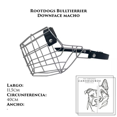 Rootdogs Bulterrier macho Downface