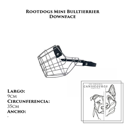Rootdogs Minibullterrier Downface