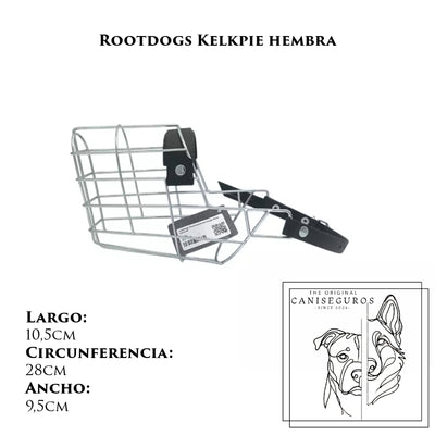Rootdogs Kelpie hembra