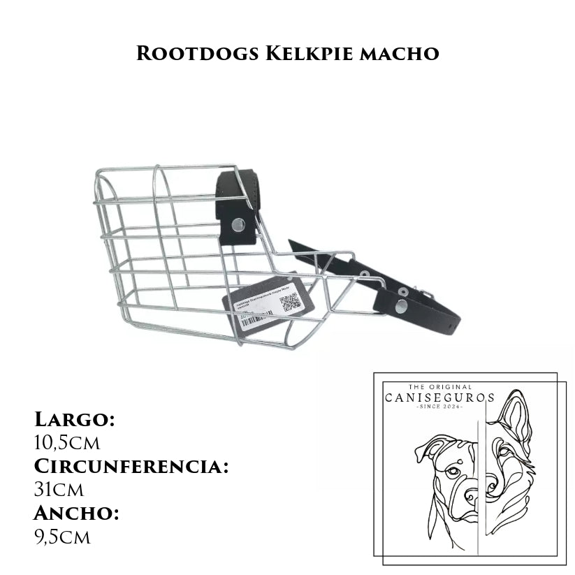 Rootdogs Kelpie macho