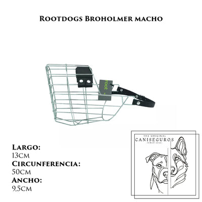 Rootdogs Broholmer macho