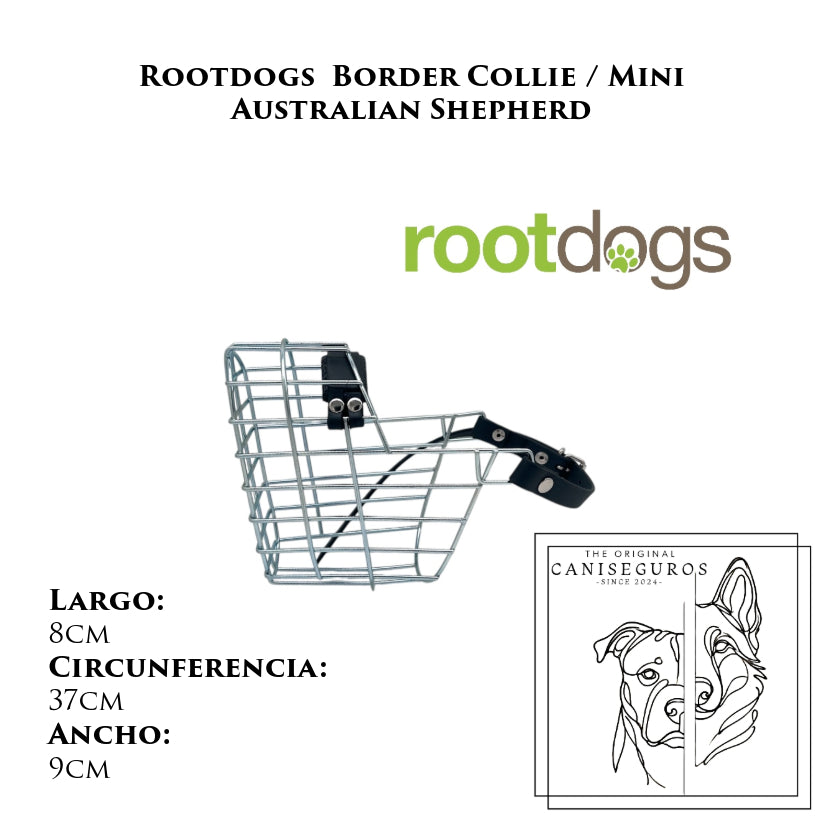 Rootdogs Border Collie / Mini Australian Shepherd
