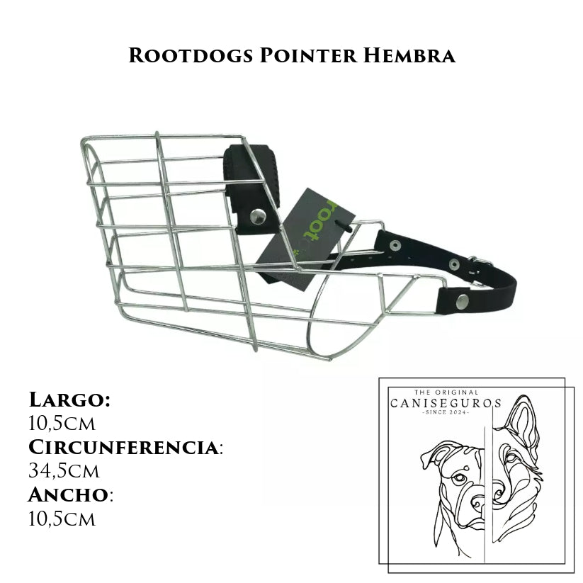 Rootdogs Pointer hembra