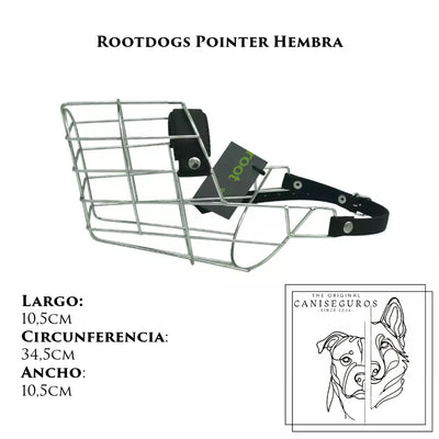 Rootdogs Pointer hembra
