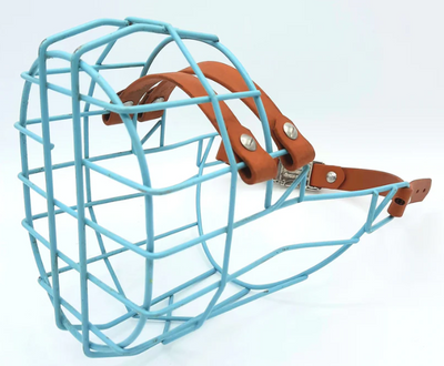 Abertura para premios