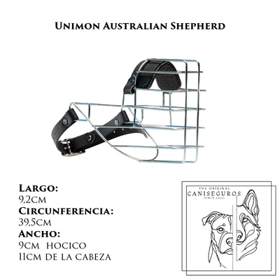 Unimon Australian Shepherd