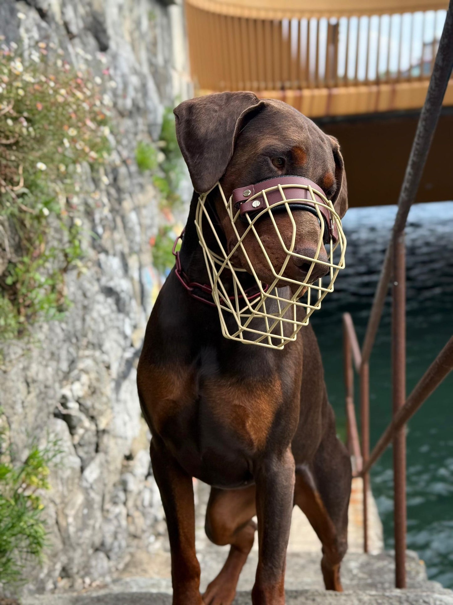 Recubrimiento en polvo para bezal