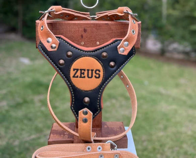 ARNÉS DE CUERO PREMIUM – HECHO A MANO Y PERSONALIZABLE